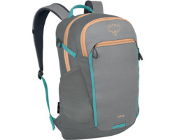 Axis 24L walking bag