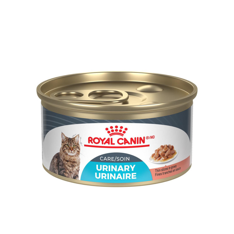 Royal Canin Nourriture humide pour chat adulte, form…