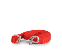 Simple red nylon leash