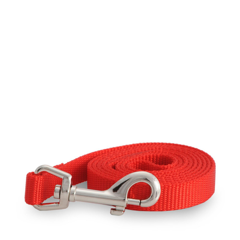 Simple red nylon leash