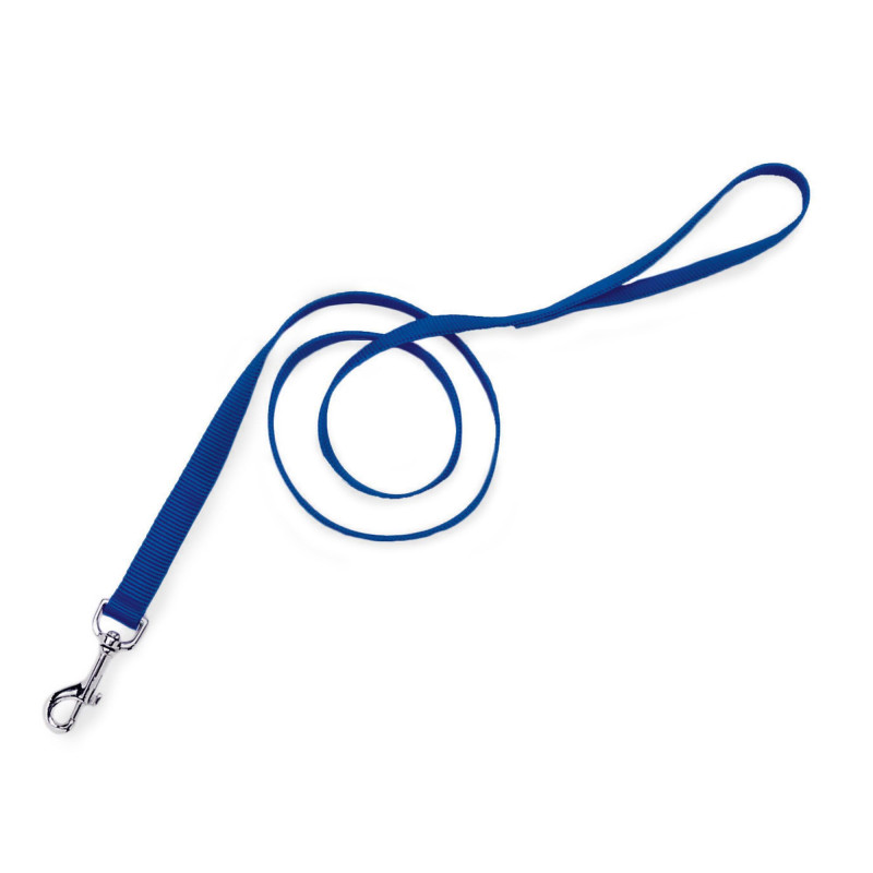 Blue single nylon leash