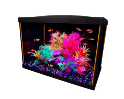 Aquarium équipé 20G iGlo...