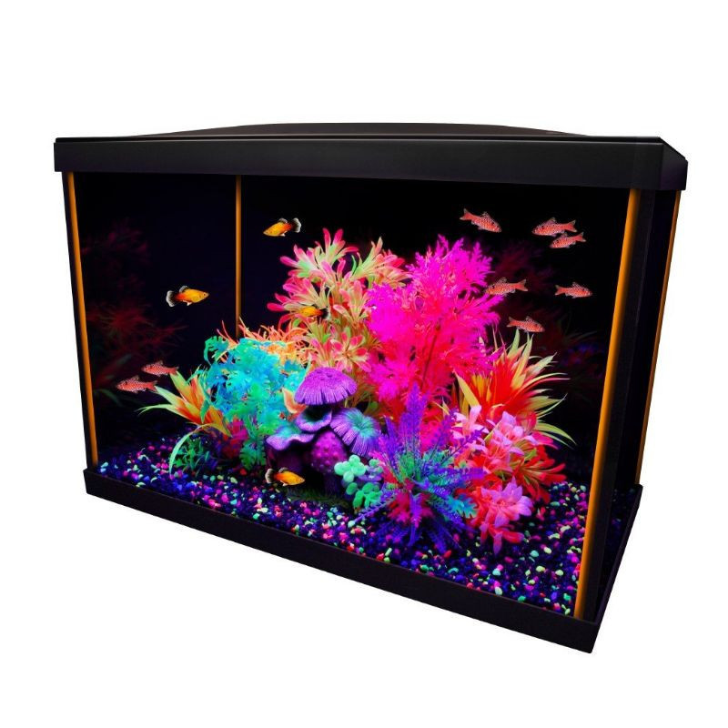 Aquarium équipé 20G iGlo Marina, 75 L (20 gal US)