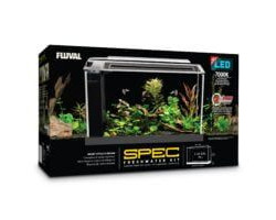 Aquarium équipé SPEC Fluval, noir, 19 L (5 gal US)