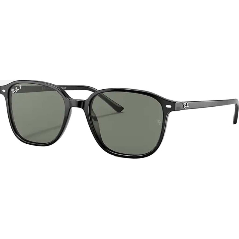 Leonard Non-Polarized Sunglasses - Unisex