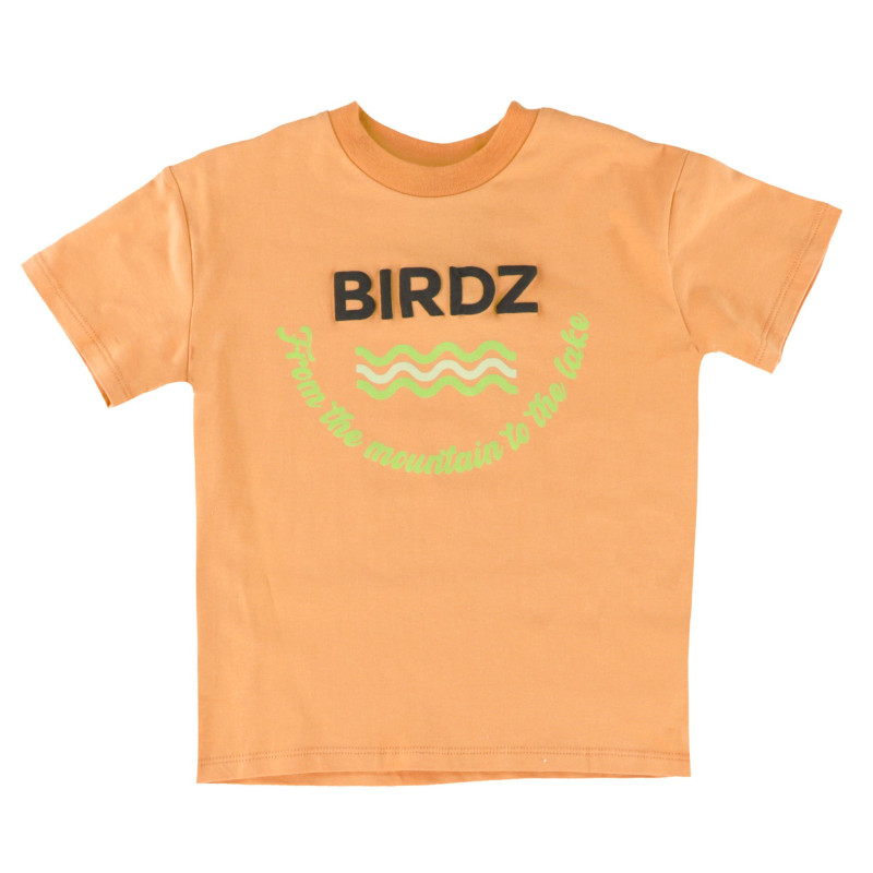 Birdz T-shirt Mountain To Lake 2-10ans