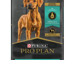 PROPLAN Nourriture sèche – Formule Chiot de Grande Race pour chien