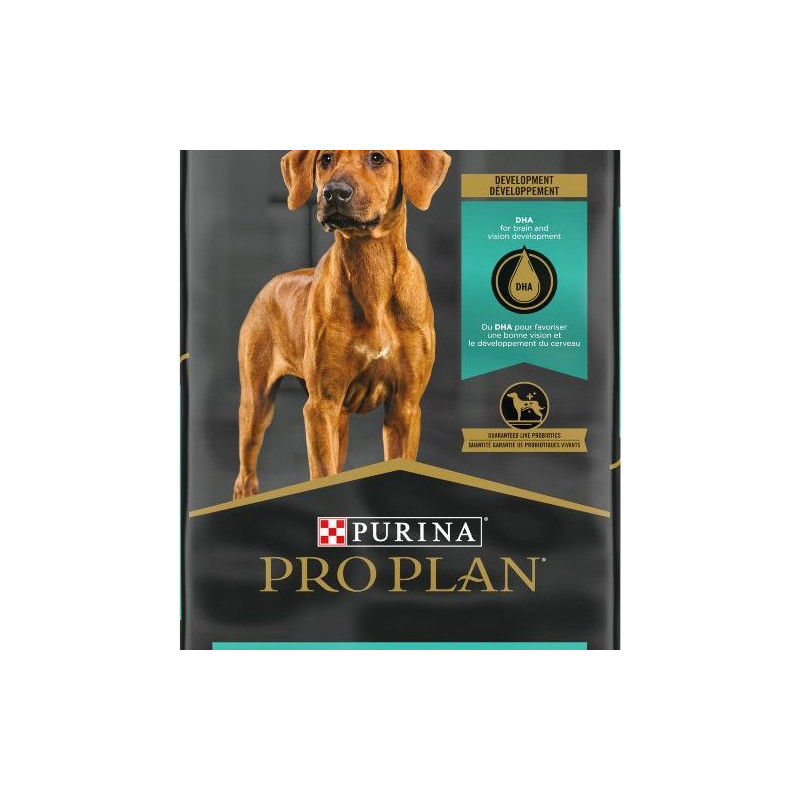 PROPLAN Nourriture sèche – Formule Chiot de Grande Race pour chien