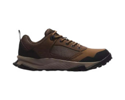 Lincoln Peak Lite Hiking Shoes - Men's