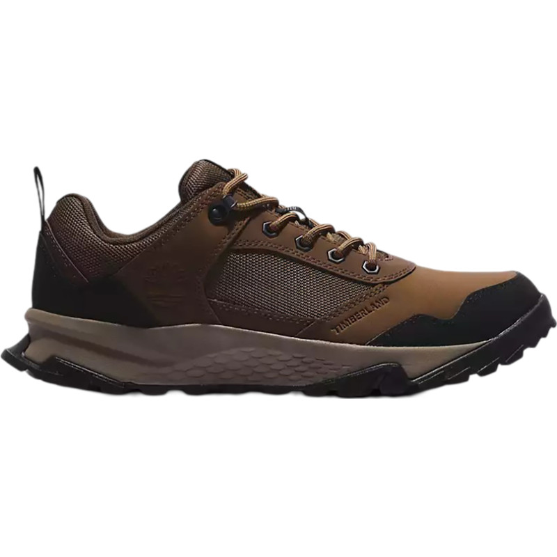 Lincoln Peak Lite Hiking Shoes - Men's
