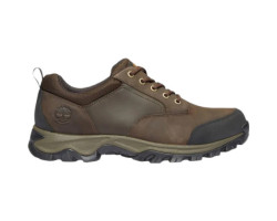 Men's Mt. Maddsen Waterproof Low Hiker Boot