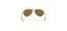 Feedback Sunglasses - Polished Gold - Brown Gradient Polarized Lenses - Women's