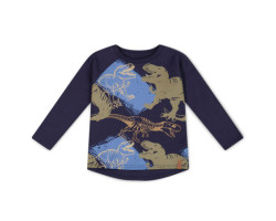 Deux par Deux T-shirt Raglan Dino Boys 3-6ans