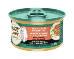 Wild salmon wet food with fl…