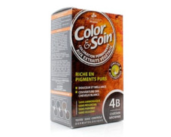 Color & Soin / 135 ml Coloration pour cheveux - Châtain brownie 4B