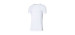 SAXX T-shirt à col rond en coton DROPTEMP Cooling - Homme