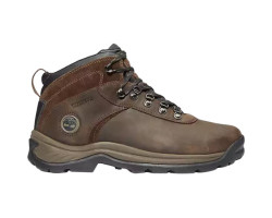 Flume Waterproof Mid Hiking Boots - Men's