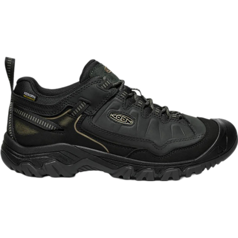 Targhee IV Waterproof Hiking Shoes - Men's