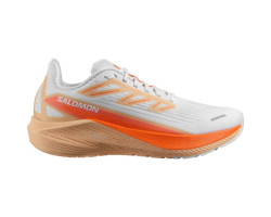 Salomon Souliers de course Aero Blaze 2 - Femme