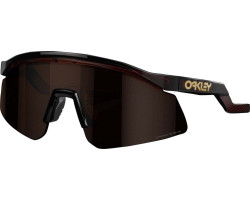 Hydra Sunglasses - Rootbeer - Prizm Tungsten Iridium Lenses