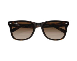 Ray-Ban Lunettes de soleil RB4420