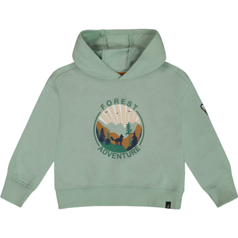 Fleece hooded sweater - Little boy