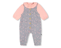 Apple Overalls Set 6-24 months