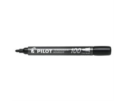 Pilot Marqueurs permanents 100