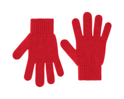 Colorful Standard Gants en...