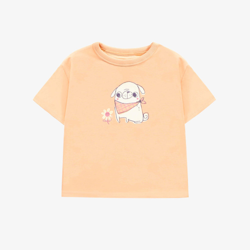 Peach short sleeves relaxed fit t-shirt with print, baby