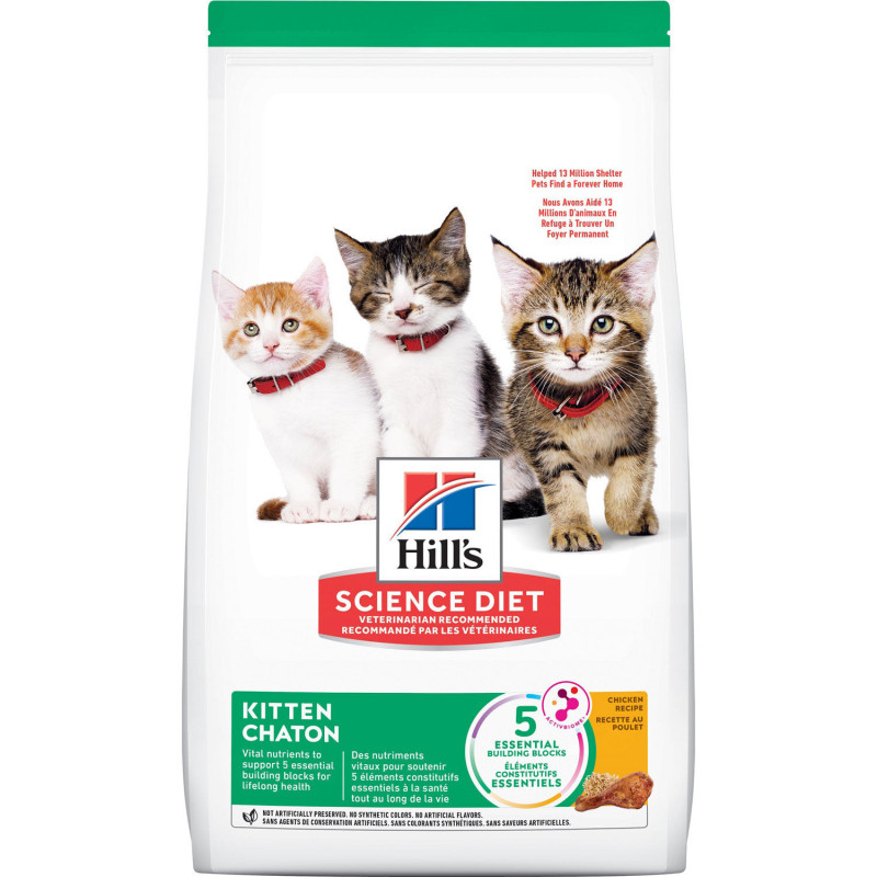 Dry chicken food for kittens