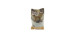 Taste of the Wild Formule pour chats avec truite et saumon…