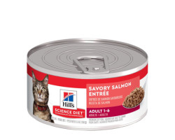 Tasty salmon starter for adult cats…