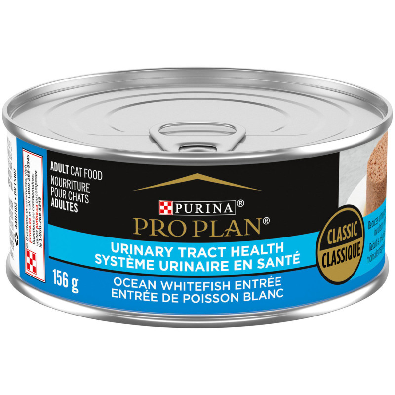 Wet fish food starter…