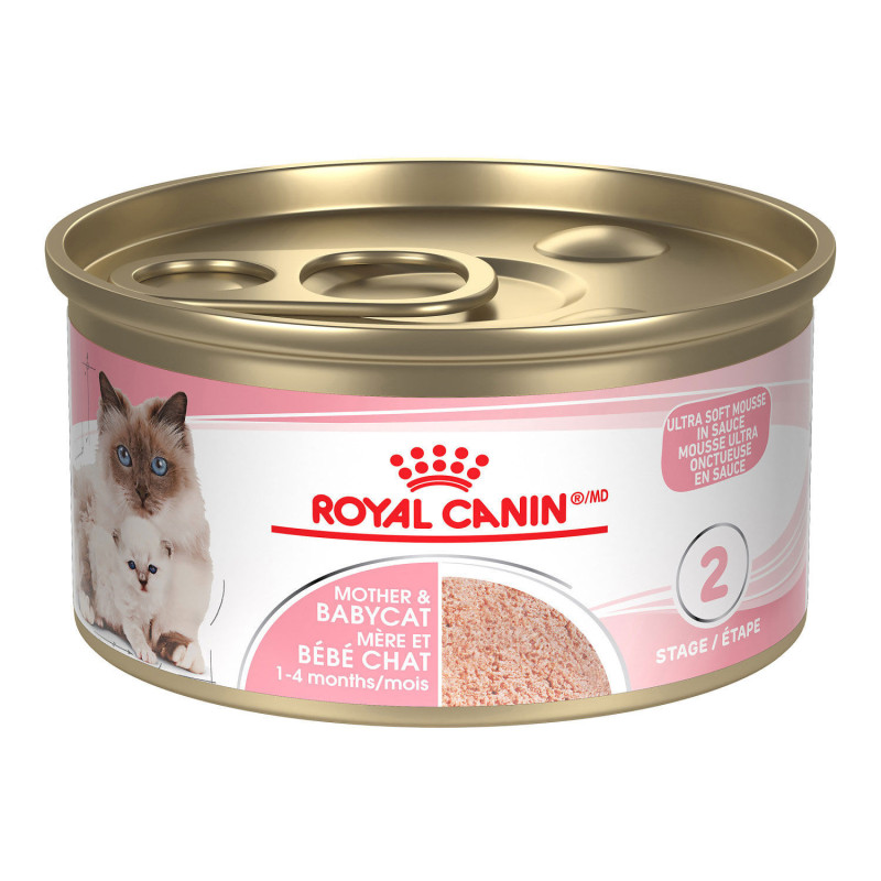 Royal Canin Nourriture humide pour mère et bébé chat