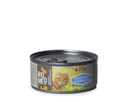 Wet food the catch of the day for…