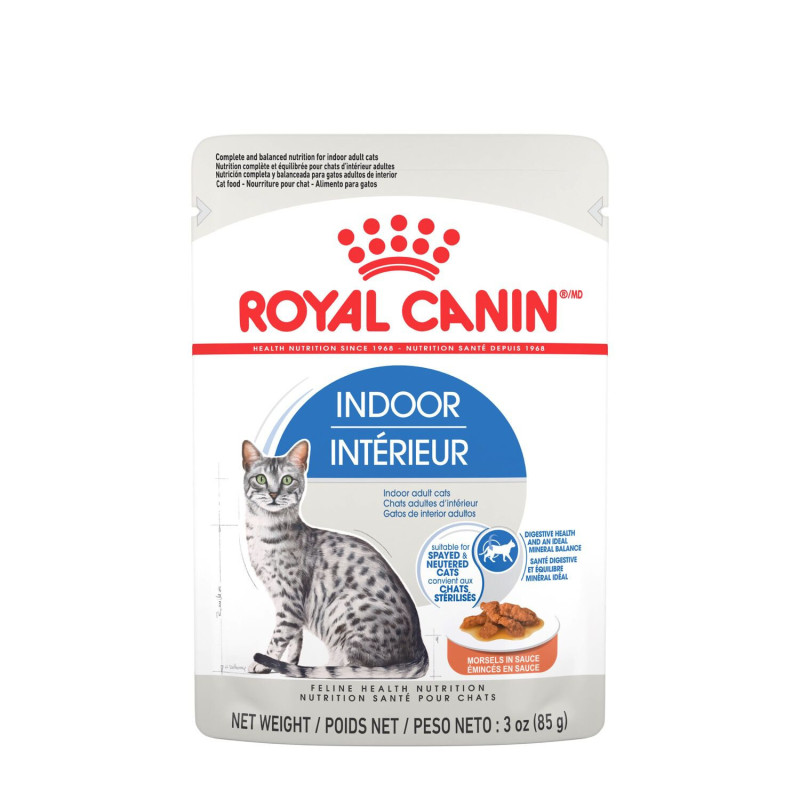 Wet food in sachets for indoor cats…