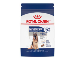 Royal Canin Nourriture sèche formule nutrition santé…