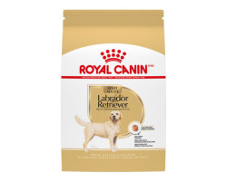 Dry dog ​​food Labrador Re…