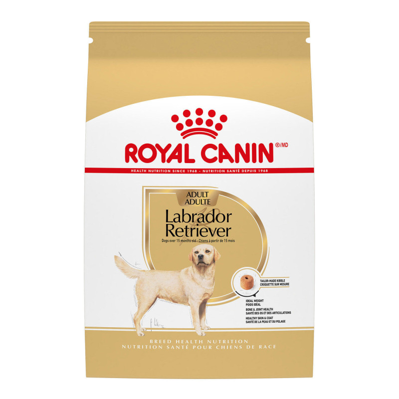 Dry dog ​​food Labrador Re…