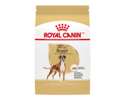 Dry food for adult Boxers