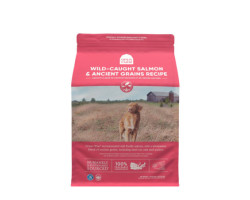 Open Farm Formule au saumon sauvage et grains anci…