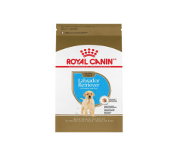 Royal Canin Nourriture sèche formule nutrition santé…