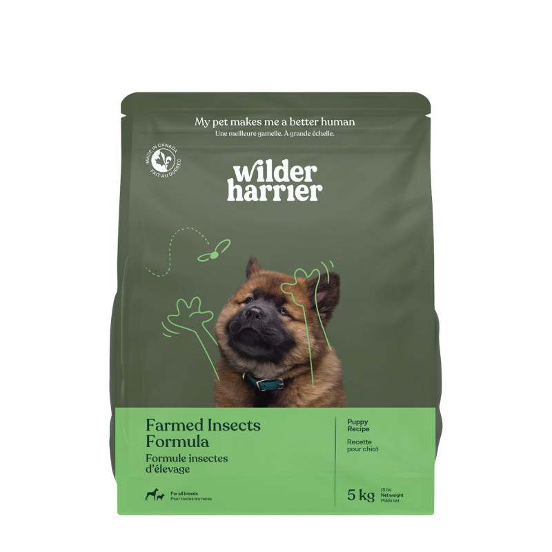 Dry food for puppies, insects…