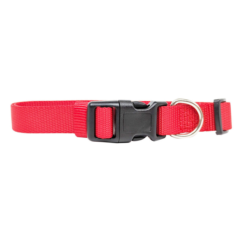 Nylon collar for dogs