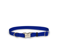 Blue nylon collar