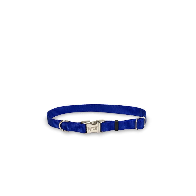 Blue nylon collar