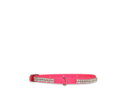 Collar with crystals for small dogs…