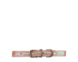 Glittering collar for small dogs