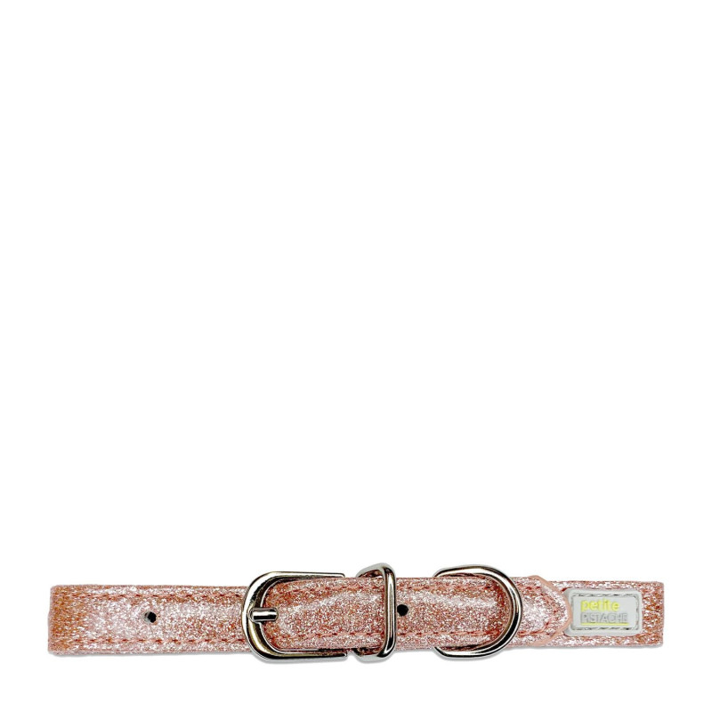 Glittering collar for small dogs